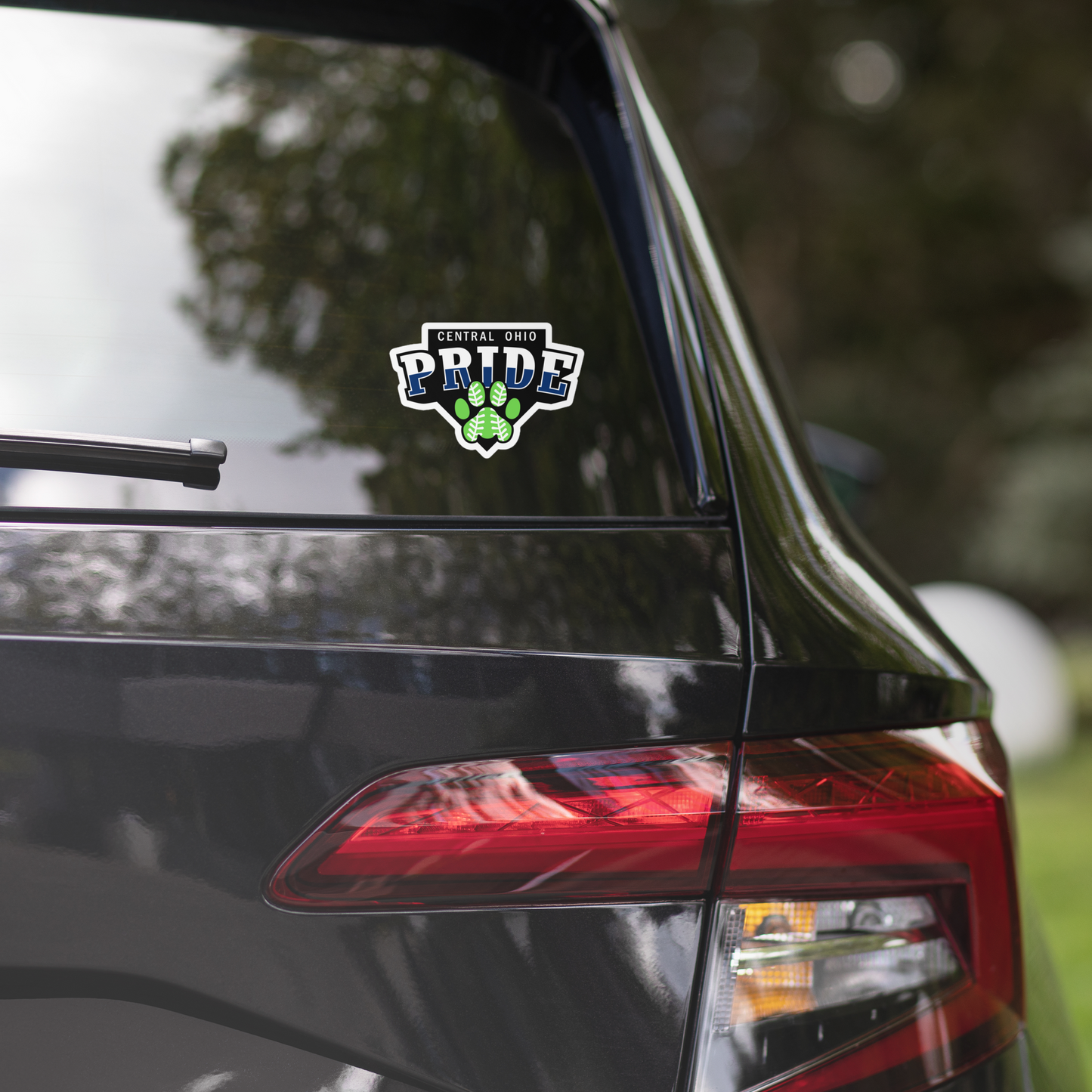 C.O. PRIDE - Sticker