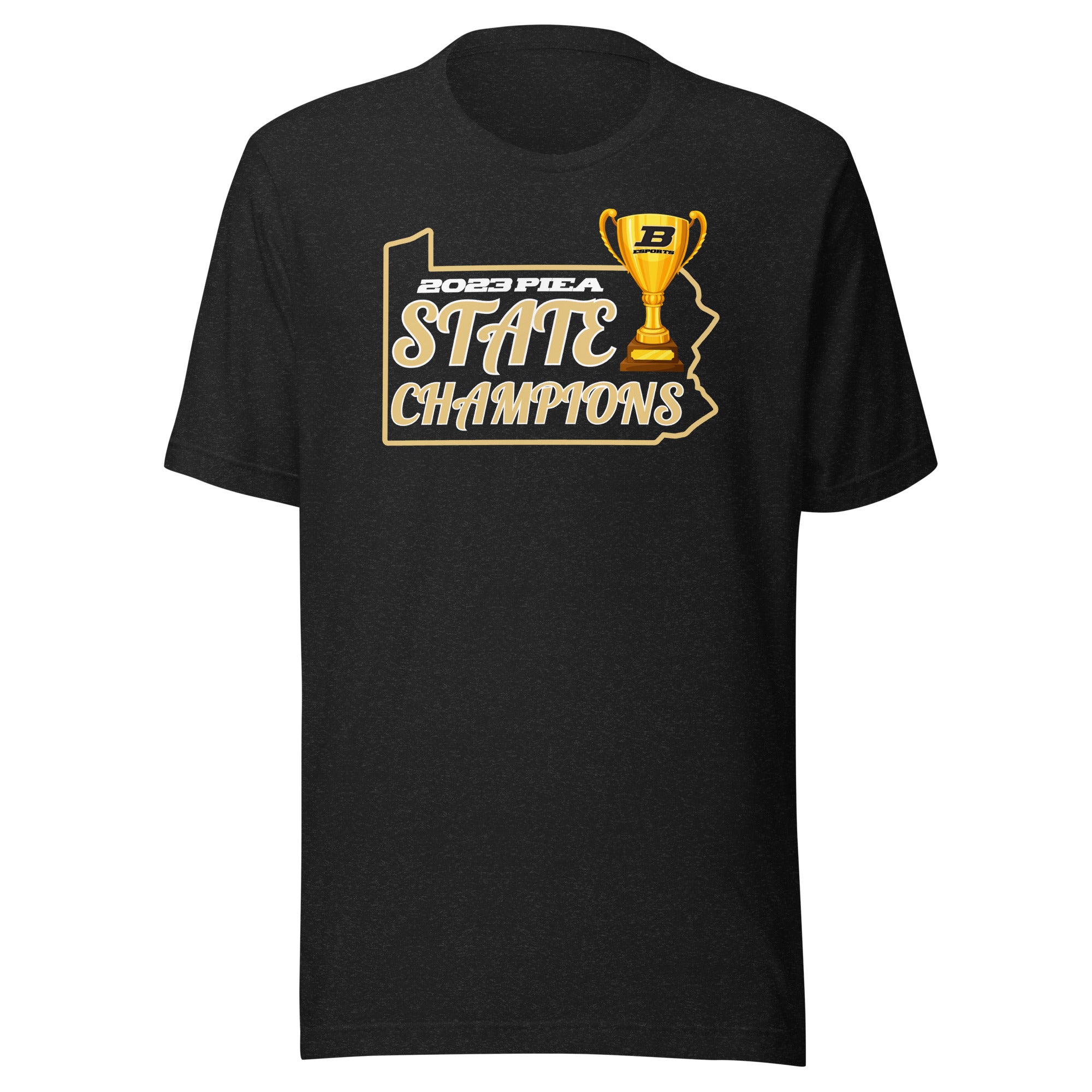 Official 2023 PIEA State Champions T Shirt