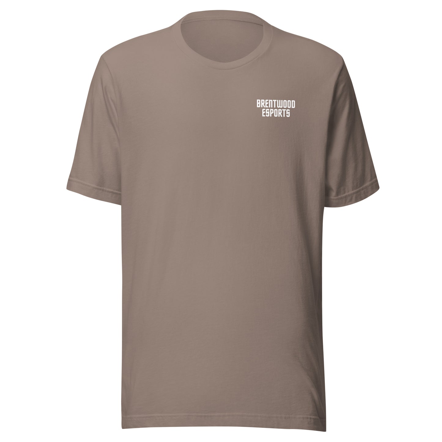 Brentwood Esports T Shirt - Logo on Back