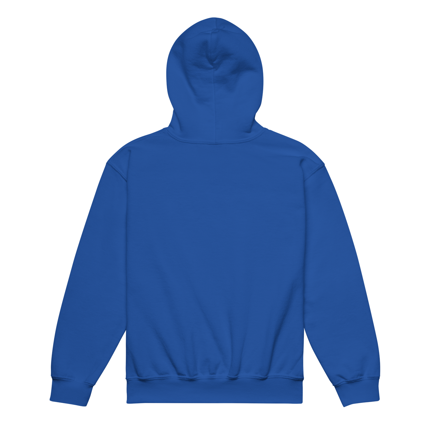 C.O. PRIDE - Youth heavy blend hoodie